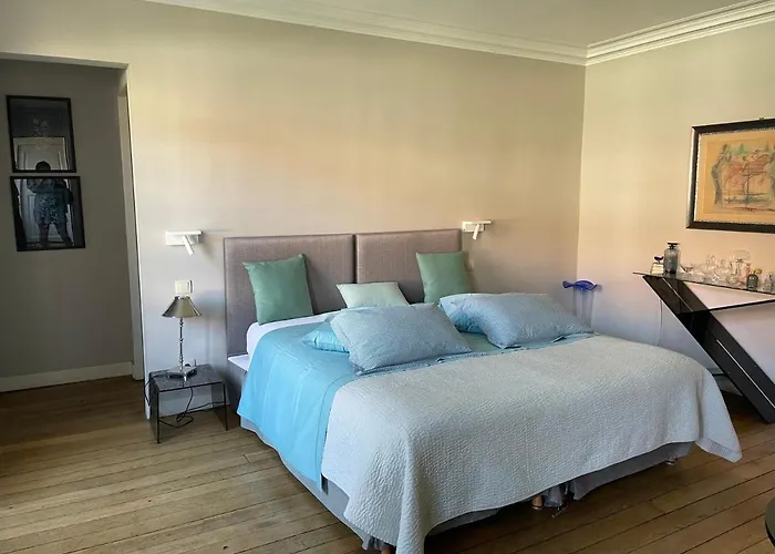 德米昂住宿加早餐旅馆 4* 南锡