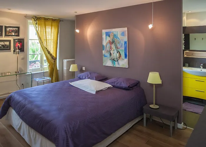 德米昂住宿加早餐旅馆 南锡