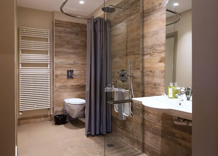 德米昂住宿加早餐旅馆 4* 南锡