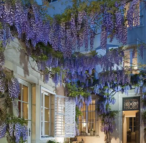 Oda ve Kahvaltı Maison D'hote De Myon 4*